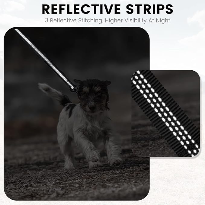 PuppyDoggy 2 Pack Dog Leash for Small to Medium Dogs 6 ft with 3 Reflective Stitching and 2 Traffic Padded Handles Dog Lead/Rope, Pet Leash for Running Walking Training (6 ft x 0.6 in - Blue 2 Pack)