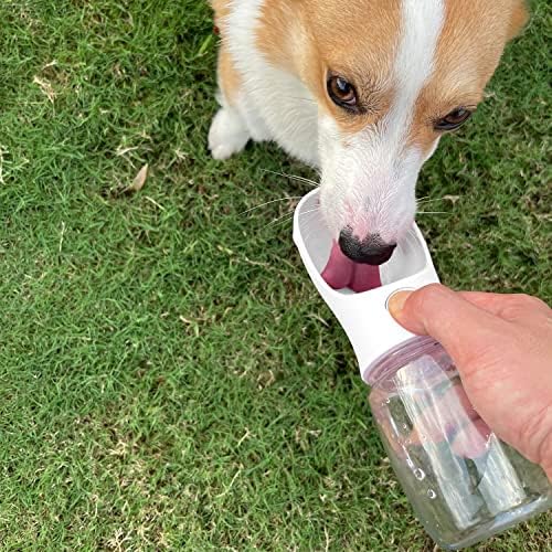 WePet Portable Dog Water Bottle, 19 OZ, Leak Proof Puppy Water Dispenser with Drinking Feeder for Pets Outdoor Walking, Hiking, Travel, Food Grade Plastic - Image 2