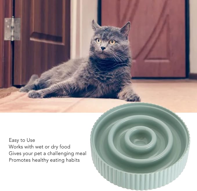 Dog Food Bowl Slow Down Eating Slow Feeder Pet Bowl Prevent Choking Interesting for Small Medium Dogs (Green)