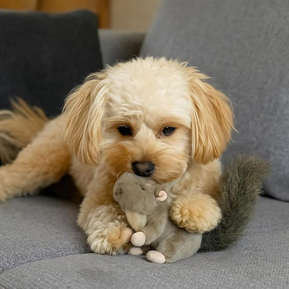 SPOT Woodland Collection Squirrel Dog Toy with Squeaker, Plush Grunting Tug Toy, Interactive Play for All Dog Breeds, 10"