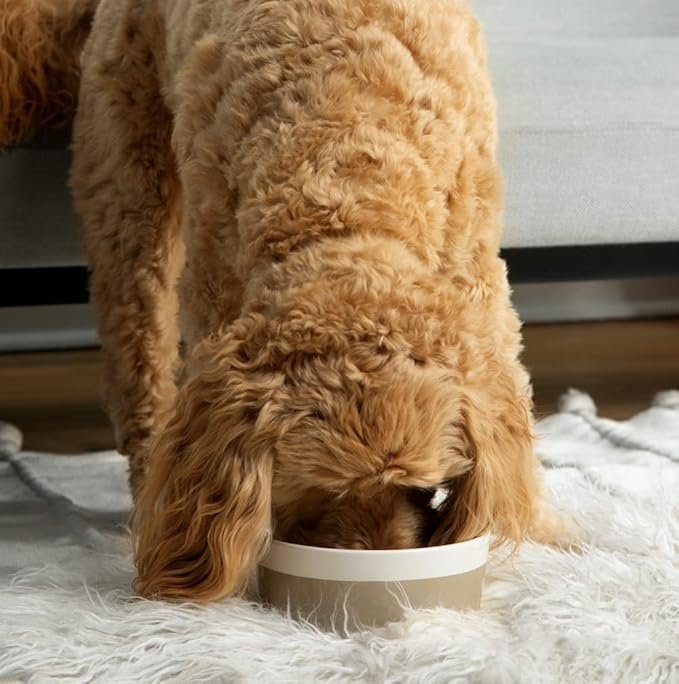Waggo Dipper Ceramic Dog Bowl for Small and Large Breeds - Heavyweight and Durable Pet Food and Water Dish Crock, Dishwasher Safe, Modern (Teracotta, Large)