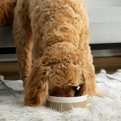 Waggo Dipper Ceramic Dog Bowl for Small and Large Breeds - Heavyweight and Durable Pet Food and Water Dish Crock, Dishwasher Safe, Modern (Teracotta, Large)