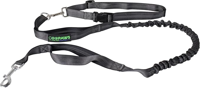 JESPET Hands Free Dog Leash for Running, Walking, Hiking Jogging for Medium & Large Dogs up to 150lbs, Durable Dual Handle Waist Leash with Reflective Bungee and Adjustable Waist (Black)