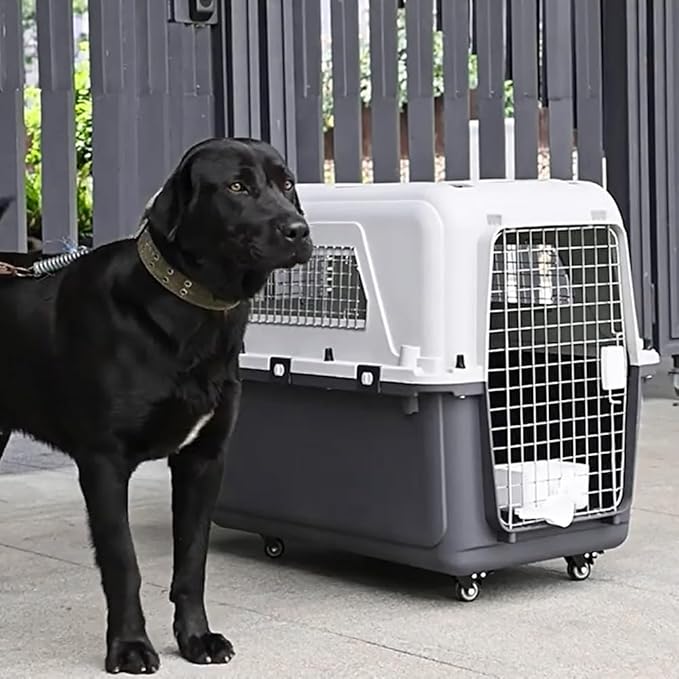 Generic Travel Dog Crate Pet Box Length 33in/Width 21.6in/Height 25.2in Dogs Kennel with Handle & Metal Door Plastic Dog Carrier for Indoor Outdoor Puppies Kittens