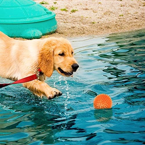 Squeaky Balls for Dogs Small, Fetch Balls Rubber 3 Pack Bright Colors - Image 7