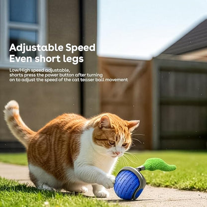 Interactive Cat Toys for Indoor Cats,The 3rd Generation Agile Moving Cat Ball with Elastic Mesh Tail,Automatic Kitten Toys for Bored Indoor Adult Cats,Motion Activated (Blue)