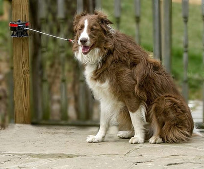 Lixit® Bracket Mount and Stake Retractable Leash Tie Outs for Dogs (Large (Pack of 1), Bracket)