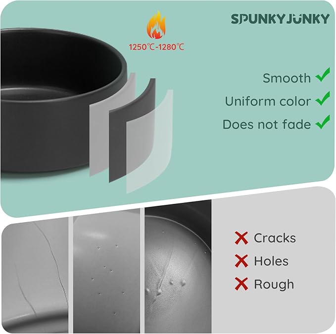 SPUNKYJUNKY 28.7OZ Ceramic Dog and Cat Bowl, Modern Cute Weighted Food Water Bowl for Replacement Black (1 Pack)