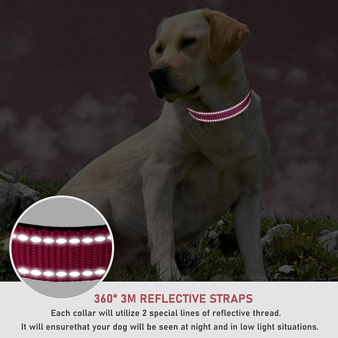 Reflective Dog Collar with Buckle Adjustable Safety Nylon Collars for Small Medium Large Dogs, Hotpink XS