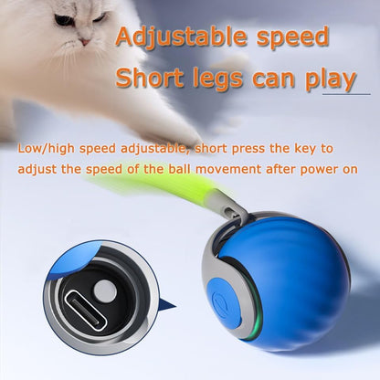 2Packs Speedy 2.0 Tail Cat Toys for Bored Indoor Adult Cats,2025 New Generation Interactive Cat Toys for Indoor Cats,Automatic Moving Ball with Tail,Blue and Orange - Image 2