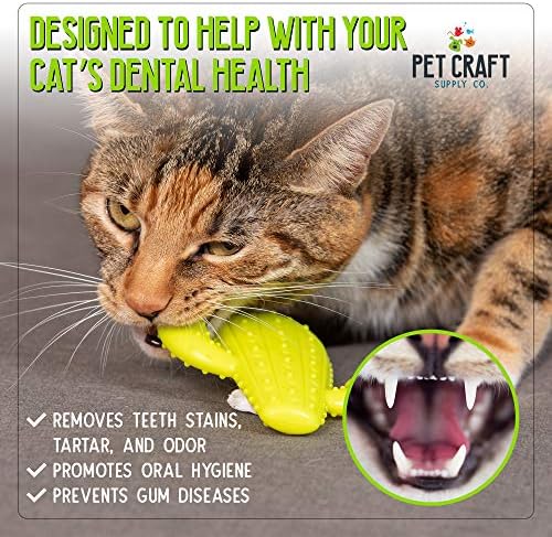 Pet Craft Supply Cactus Interactive Cat Toy Chew Toy Teeth Cleaning Bite Resistant 100% Natural Rubber with Bonus Catnip and Silvervine Bags for Kittens and Adult Cat - Image 4
