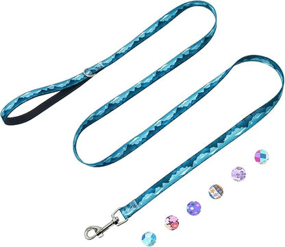 5ft Nylon Dog Leash with Soft Neoprene Handle for Small Dogs, Blue Sunset
