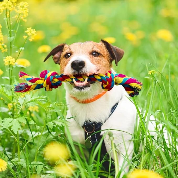 Knotted Rope Chew Toy for Dogs - Large Size 10"
