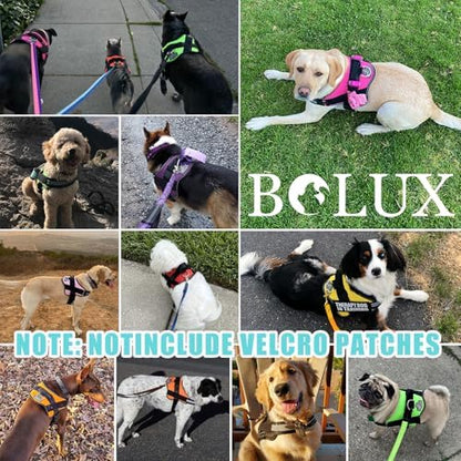 Dog Harness, No-Pull Reflective Dog Vest, Breathable Adjustable Pet Harness with Handle for Outdoor Walking - No More Pulling, Tugging or Choking - Image 7