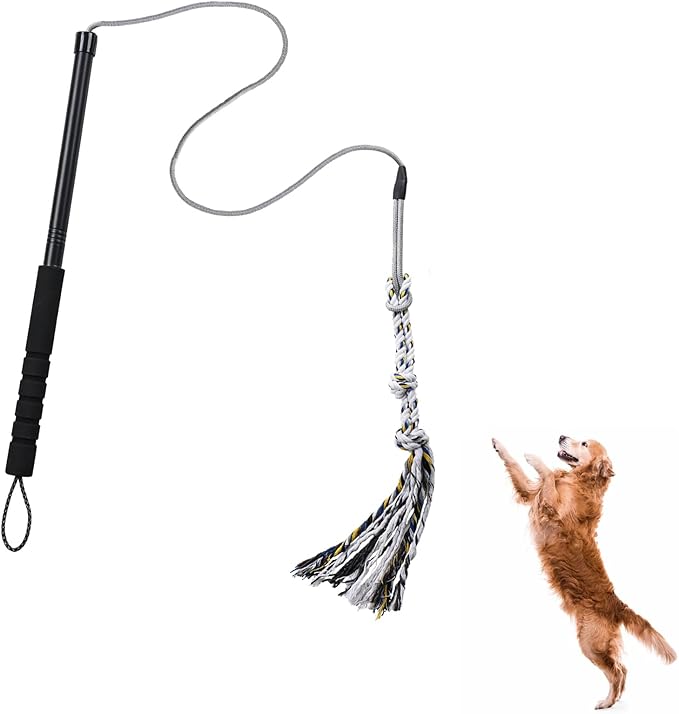 Pragmatist Outdoor Flirt Pole for Dog, Detachable Dog Flirt Pole Heavy Duty Sturdy Pet Toys for Outdoor Exercise & Training Durable Teaser Wand Interactive Toy for Small Medium Large Dogs, Black