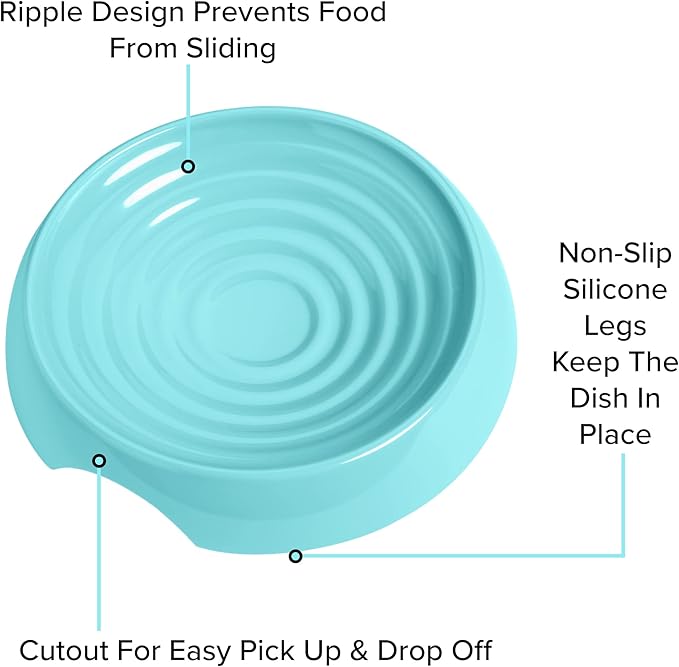 CatGuru Cat Bowls, Whisker Friendly Food Bowl for Indoor Cats, Reliefs Whisker Fatigue, Wide Kitten Dish, Non Slip Pet Dishes, Shallow Pet Plates (Aruba, (Pack of 2))