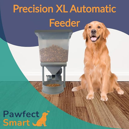 Precision XL Automatic Large Dog Feeder, 30 lb Storage Capacity, Program up to 4 Meals/Day with Smartphone, JAM-Free (Pure Gold)
