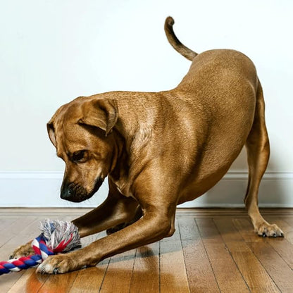 Knotted Rope Chew Toy for Dogs - Large Five Knot 35"