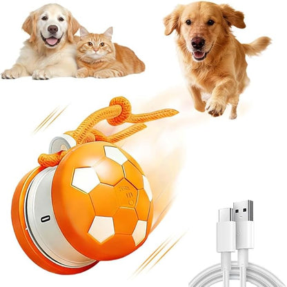 Interactive Dog Toys, Moving Interactive Dog Ball with Touch Activated, Automatic Rolling Ball Toys for Puppy/Medium Dogs, Squeaky Dogs Toy Active Rolling Wicked Balls for Daily Training (RED-3)