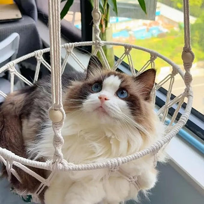 Cat Hammock Bed,Handwoven Hanging Boho Cat Bed with Hanging Kit for Indoor Outdoor Home Decor Ceiling Catio Swing for Playing Sleeping Climbing and Lounging(16.14x43.3in)