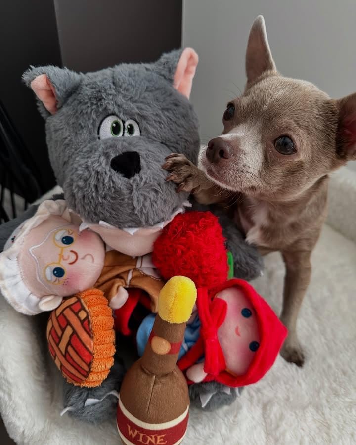 Nocciola Fairy Tale Squeaky Dog Toys, Cute Interactive Plush Stuffed Hide and Seek Cognitive Puzzle Puppy Crinkle Chew Toy for Small, Medium Breed - Image 2
