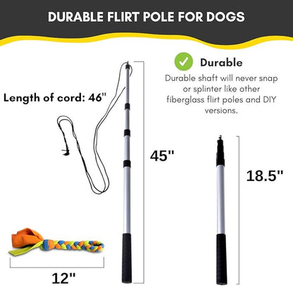 YES4QUALITY Flirt Pole for Dogs - Safe & Strong for Large Breeds with Non-Bungee Cord - Spring Pole for Tug of War, Interactive Play & Puppy Training - Heavy Duty Teaser Wand for Outdoor Exercise