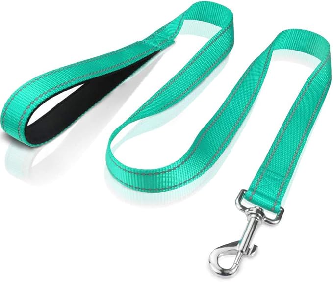 FunTags 4FT Reflective Dog Leash with Soft Padded Handle for Training,Walking Lead for Large & Medium Dog,1 Inch Wide,Turquoise