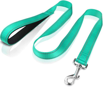 FunTags 4FT Reflective Dog Leash with Soft Padded Handle for Training,Walking Lead for Large & Medium Dog,1 Inch Wide,Turquoise