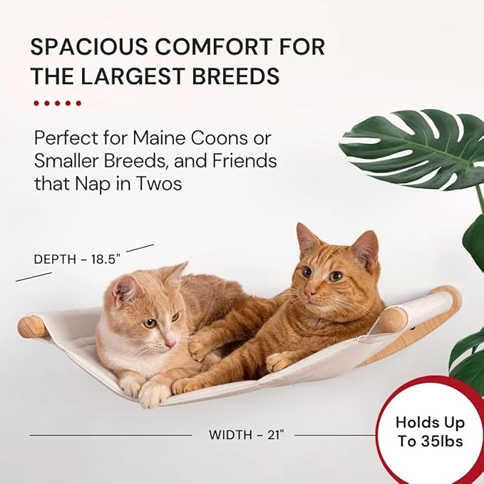 7 Ruby Road Cat Hammock Wall Mounted for Large and Indoor Cats or Kitty, Cute Bed Perch Shelf for Sleeping, Climbing and Lounging, Modern Shelves and Perches, Wooden Mount Cat Wall Furniture & Beds