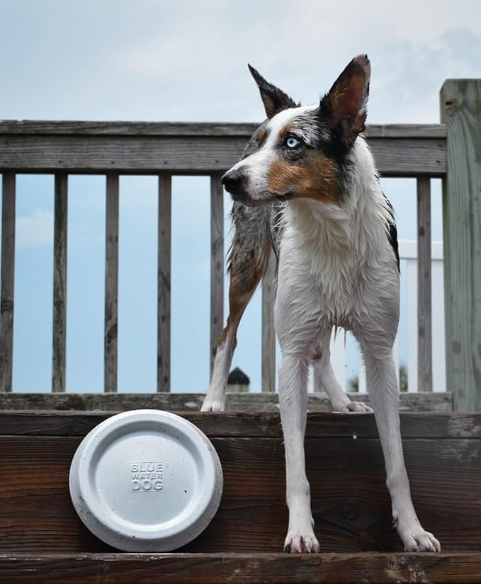 Frisbee, Floating, Waterproof, Lightweight, Durable Foam, Aerodynamic Disc for Medium and Large Dogs Puppy - Frisbee for Fetch, Catch, Play, 8.5” (White)