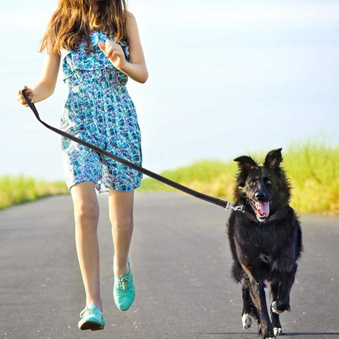 FunTags 4FT Reflective Dog Leash with Soft Padded Handle for Training,Walking Lead for Large & Medium Dog,1 Inch Wide,Black