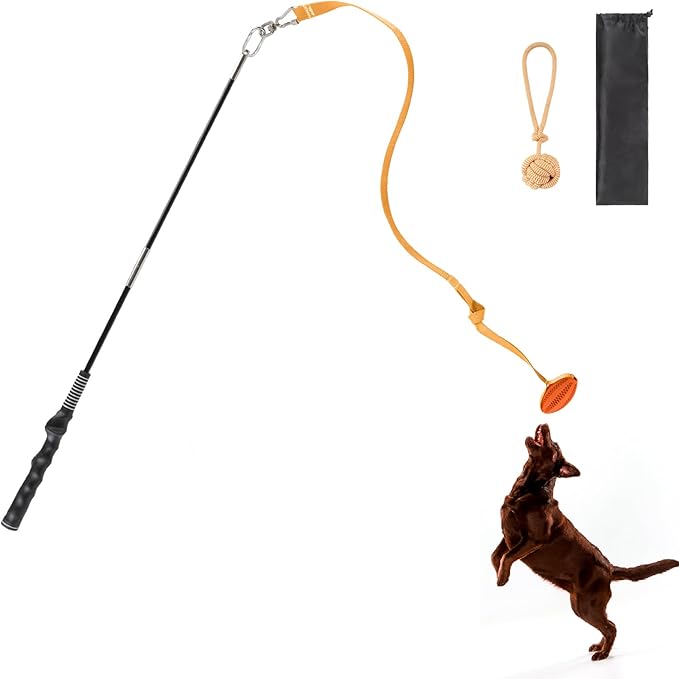 Interactive Flirt Pole for Dogs Chase and Tug of War Dog Pole Toy, Dog Teaser Wand with Rope & Ball Toys for Large Medium Small Dogs Chewing Toy to Outdoor Exercise & Training,30.9inch Orange