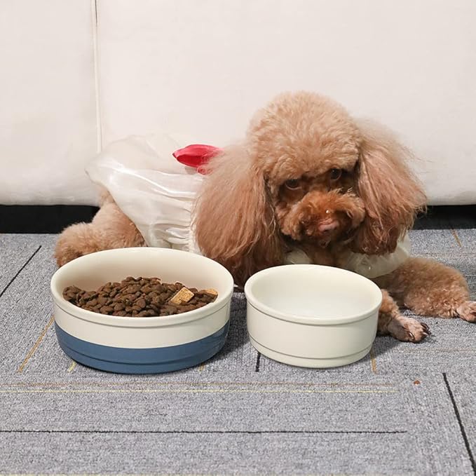 Sweejar Dog Bowl, Ceramic Dog Food Dish for Medium Dogs and Cat, Heavy Duty Porcelain Pet Bowl for Canned Food and Water 38 Fl Oz （White）