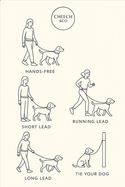 Cheech&Co Hands Free Dog Leash with Poop Bag Holder - for Walking, Hiking, Jogging & Running Small/Medium/Large Dogs (Adjustable 4.3–8.6 ft Light Purple)