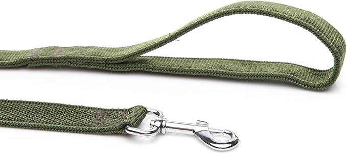 Strong Nylon Dog Leash with 2-Layer, 4 FT/ 6 Feet Long, 1 Inch Wide for Medium Large Dogs (1'' x 5 FT, Green)