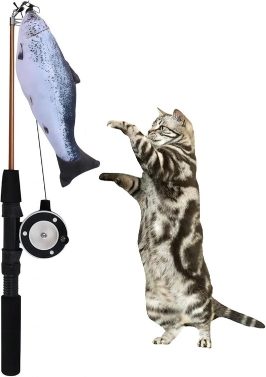KAYNO Retractable Teaser cat Stick, Extra Long Fish & Feather Decorative cat Fishing Pole Shape Teaser cat Stick, cat Feather Interactive Toys, Toys are Replaceable, Adjustable line Length. (Salmon)
