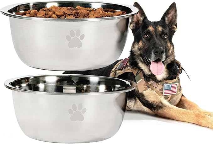 Large Dog Water Bowl 2 Pack, 1.3 Gallons 170oz Stainless Steel Extra Large Dog Food Bowl for Big Giant Dogs, Silver