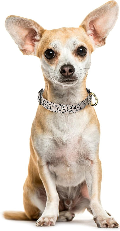 Reflective Dog Collar for Extra Small Dogs, Cute Leopard Style Adjustable Heavy-Duty Nylon Puppy Collar for Boy and Girl Female, Soft Pet Accessories with Quick Release Buckle, Beige