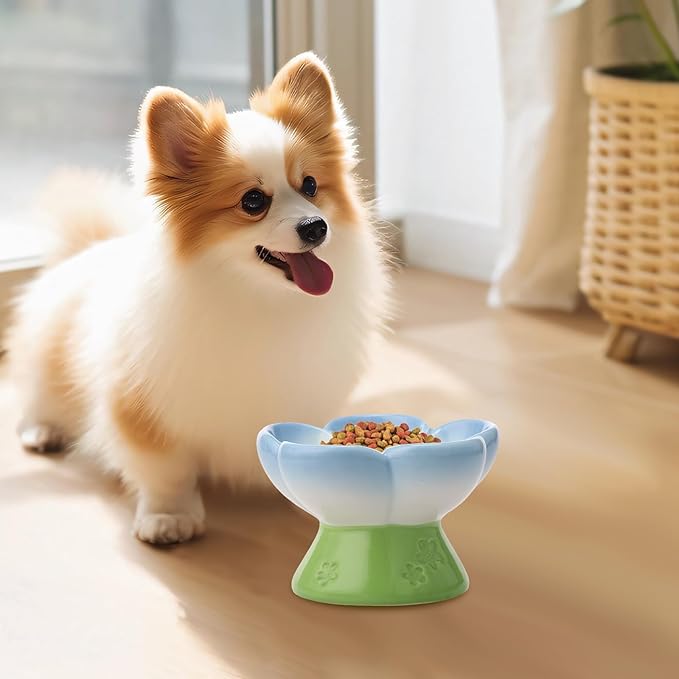 Ceramic Raised Slow Feeder Dog Bowl for Dry Wet Food, Smooth Surface Elevated Cat Food Bowl, Flower Shape Pet Food Bowls for Small Cat Dog, 150ml/5oz (Style 1)