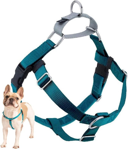 2 Hounds Design Freedom No Pull Dog Harness, Adjustable Harness, Easy Walking & Comfortable Control, Fits Small, Medium & Large Dogs, Solid Colors, Made in USA, 5/8" SM, Teal