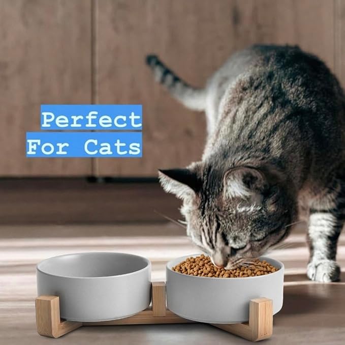 Ceramic Cat and Small Dog Bowl Set – Modern Indoor Small Size Pet Food and Water Bowls with Wood Stand – Non Slip Puppy Sized Feeding Station with Double Dishes (Gray)