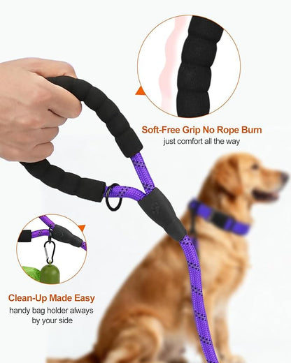 Joytale Dog Leash for Large Dogs, Heavy Duty Nylon Leashes with Comfortable Padded Handle and Highly Reflective Threads, Ideal for Walking and Training, Purple, 6'×1/2''