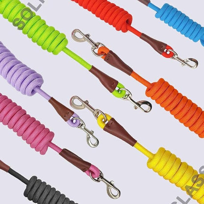 MayPaw 4/6 /8/10 FT Dog Leash, Classic Solid Colors, Strong Nylon Rope Dog Leash Reinforced with Leather Tailor Connection Heavy Duty Silver Clasp (Pink, 4ft*1/2")