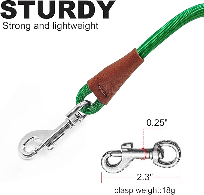 Small Dog Leash, 1/4" by 6/8/10 FT Lightweight Strong Nylon Rope Leash, Bright Classic Lead for Small Pets/Puppy (8ft, Dark Green)
