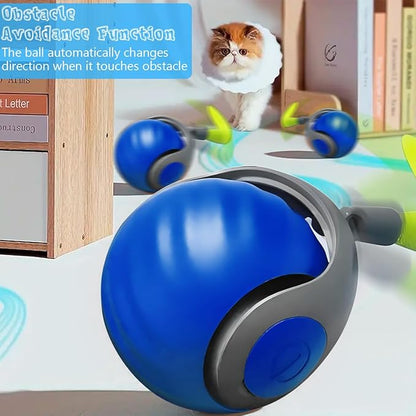 Speedy 2.0 Cat Toy, 2Pac and 6 Tails 2 Speedy Tail 2.0 Automatic Moving Cat Toys Ball, Interactive Cat Toys for Indoor Cats,Obstacle Avoidance Smart Cat Toy for Small/Medium/Large Cats