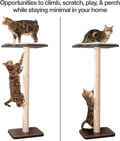 PetFusion Ultimate Cat Window Climbing Perch 45” Tall (Tree Sisal Scratching Posts, Modern Design Simply Suctions to Window. (EASY TO ASSEMBLE)