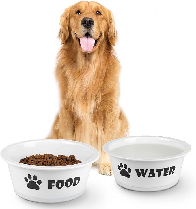 FOREYY Set of 2 Ceramic Dog Cat Bowl Set, Pet Porcelain Food and Water Feeder Dish Bowls with Anti Slip Band, Dishwasher and Microwave Safe (Large)