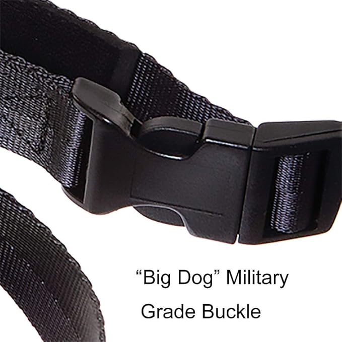 Alpine Outfitters Urban Trail Double Duty Leash with Padded Handle, Traffic Handle and 3M Scotchlite Reflective Bands - Go Hand-Held or Hands-Free!
