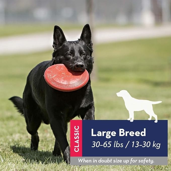 Kong Rubber Flyer,Large 2 Pack, Red