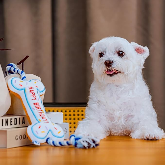 PAWTY Birthday Bone Dog Toy - Funny Interactive Tug Rope Squeaky Dog Birthday Gift - Plush White Bone Toy for Small Medium Dogs - Dog Birthday Party Supplies